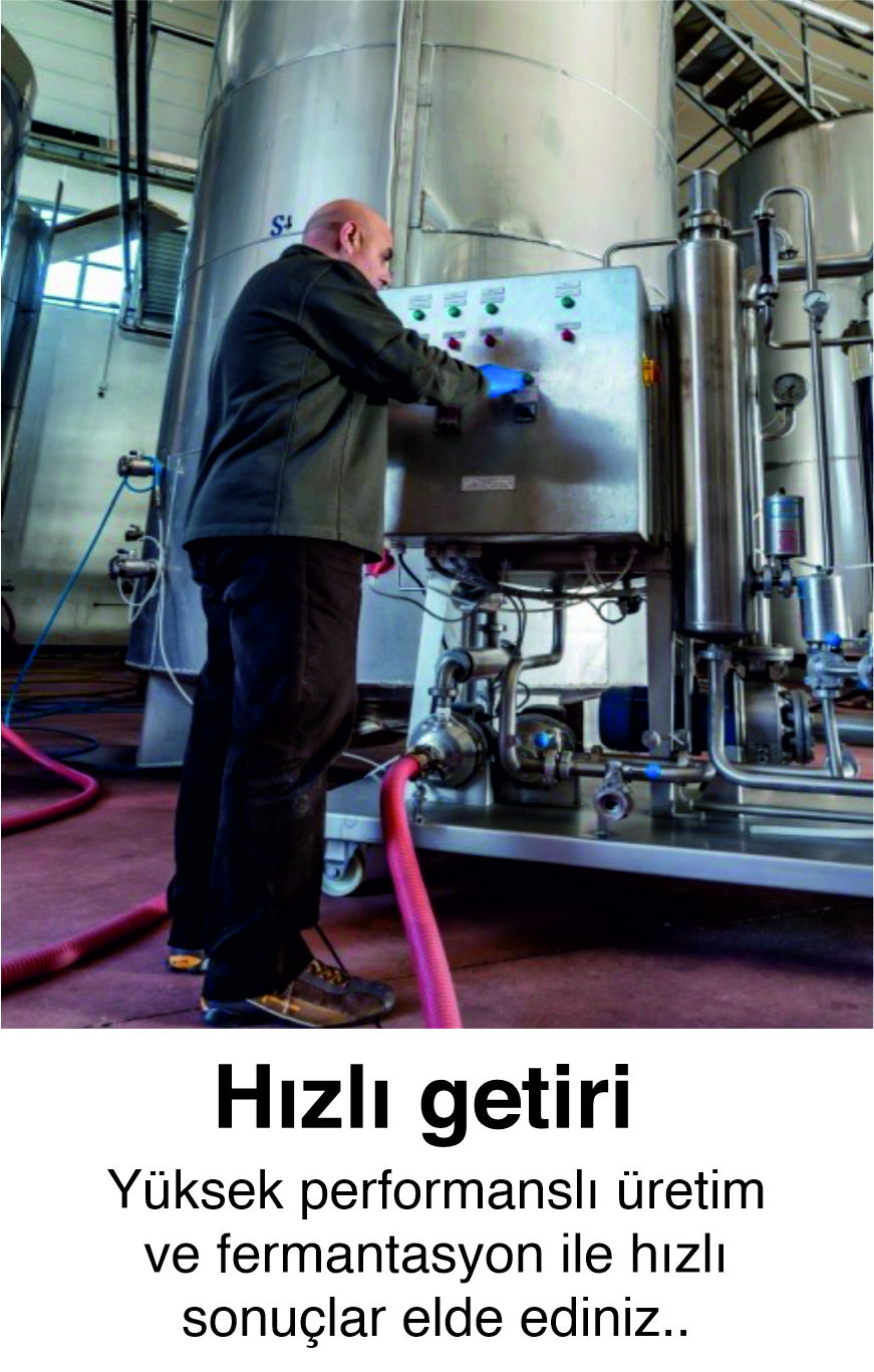 4 Nesneden Oluşan Grup (13)