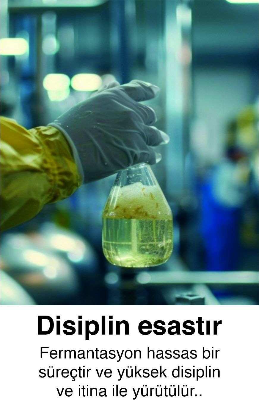 4 Nesneden Oluşan Grup (15)