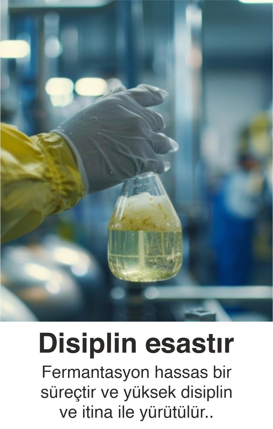 4 Nesneden Oluşan Grup (19)